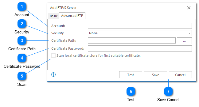 Advanced FTP