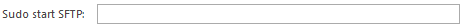 3. Sudo start SFTP