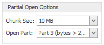 2. Partial Open Options