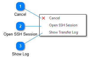 Transfer Commands